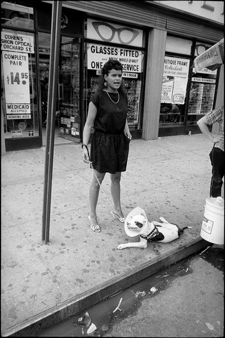 Girl with Dog on Delancey Street