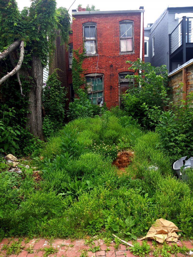 Marion street alley at Rhode Island Ave Shaw Photograph by Rick Piel